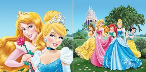 Dětský polštářek Princezny Disney CND 3118 / CND3118 dekorativní polštářky 40 x 40 cm AG Design